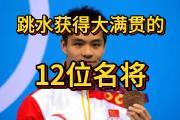 华体会体育APP下载-力挽狂澜再续，跳水选手再获殊荣