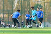 华体会官方入口-国际体育赛事展现球技和团队合作精神