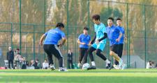 华体会官方入口-国际体育赛事展现球技和团队合作精神