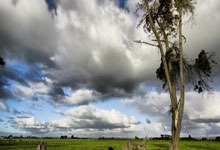 华体会体育APP下载-包含威廉姆斯完胜索伯车队，塞恩斯关键制胜的词条