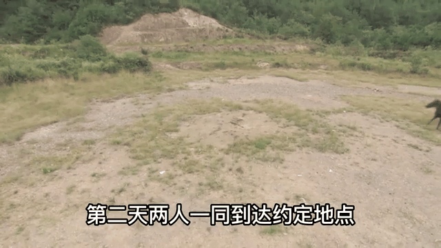 梅斯实力碾压对手，轻松获胜