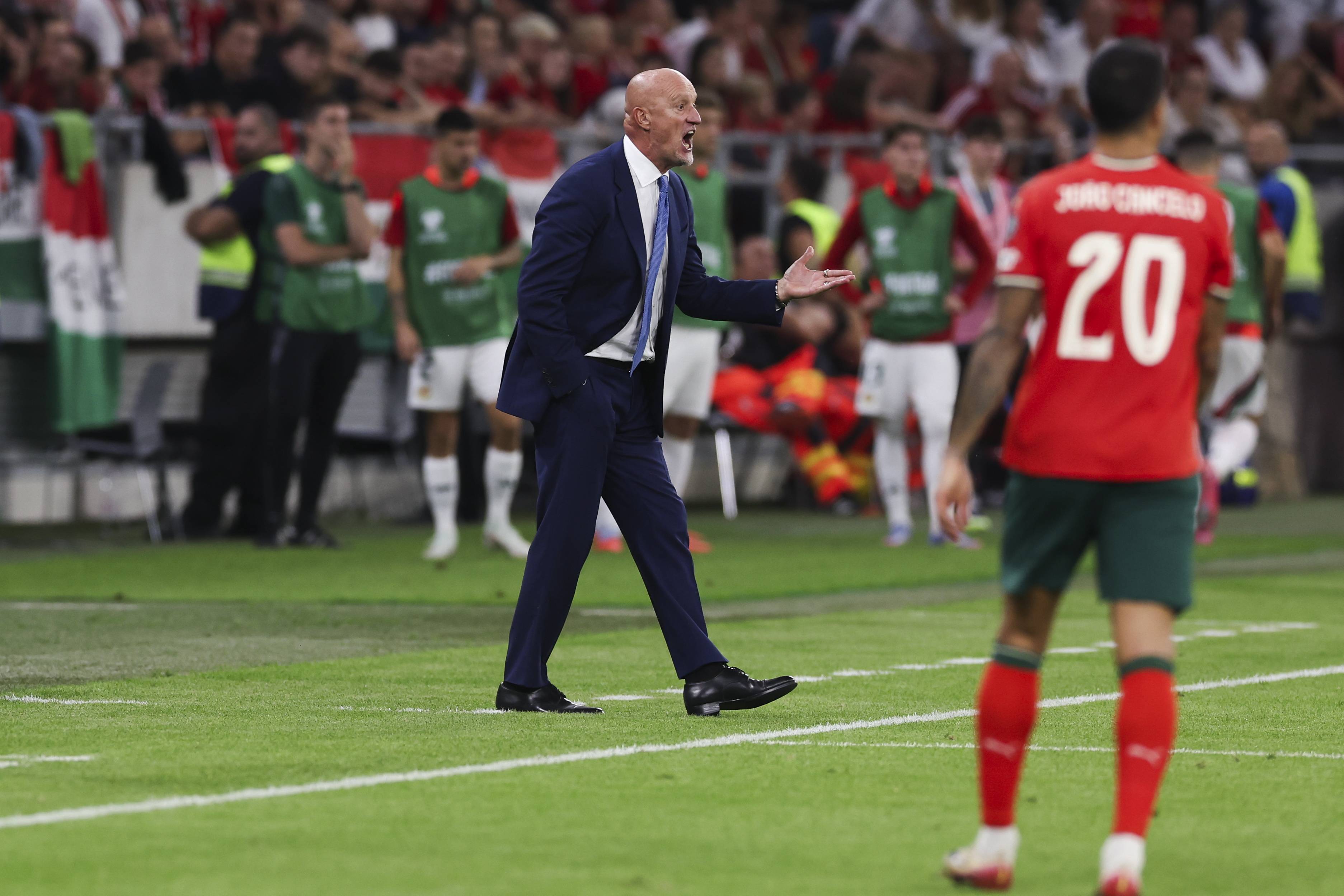 包含匈牙利队憾负葡萄牙队，止步小组赛的词条